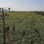 Obras da Infovia Digital entram em fase final na Capital e avançam para o interior