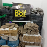 DOF apreende 173 quilos de droga em meio a mata em Ponta Porã