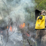 Por terra, água e ar: bombeiros iniciam combate aéreo a focos de incêndio em Bonito
