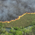 Raio pode ter começado incêndio que consumiu área igual a 500 campos de futebol em Bonito, dizem bombeiros