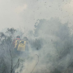 Bombeiros controlam incêndio florestal em Bonito e continuam em monitoramento na região