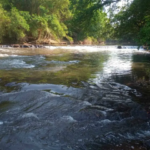 Após quatro dias desaparecido, corpo de adolescente de 14 anos é encontrado em rio de Campo Grande