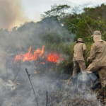 Em chamas há cinco dias, bombeiros acionam reforço para combater incêndios no Pantanal