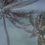 Vendaval derruba torres de transmissão e deixa cinco municípios sem energia elétrica em MS