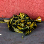 Morto a tiros no Aero Rancho teria ido em conveniência para assassinar desafeto, segundo testemunhas