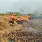 Bombeiros de MS atuam em três incêndios florestais no Pantanal
