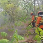 Bombeiros combatem incêndios há quatro dias no Pantanal