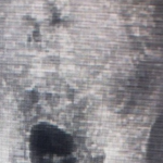 Detento tenta entrar em presídio com cocaína no estômago e acaba flagrado por policiais penais