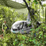 Helicóptero usado pelo narcotráfico é encontrado escondido na fronteira com MS