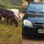 Para pagar tratamento da filha, família vende carro, cai em golpe e perde carro e gado