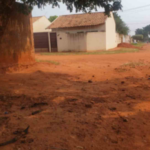 Corpo de rapaz encontrado embaixo de árvore no Nova Lima teria sido desovado no local, diz polícia