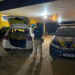 PRF apreende 307 Kg de maconha em Ponta Porã