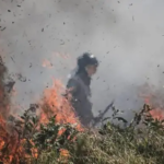Governo afirma que incêndios no Pantanal estão controlados e Bombeiros atuam no rescaldo