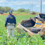 PRF apreende 556 Kg de maconha em Campo Grande