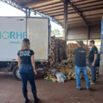 Polícia Civil incinera cerca de duas toneladas de drogas em Sidrolândia