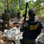 DOF apreende quase uma tonelada de agrotóxicos em meio a mata