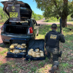 DOF prende mulher com mais de 24 quilos de skunk em Corumbá