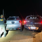 DOF recupera veículo roubado em SP que seria entregue em shopping no Paraguai