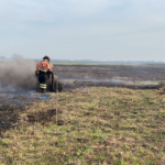 Em alerta, bombeiros de MS atuam em quatro incêndios florestais no Pantanal