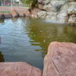 Populares denunciam abandono da cascata da Praça Central