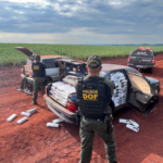 Mais de um milhão de reais em produtos ilegais são apreendidos pelo DOF em Dourados