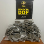 Genro e sogra que seguiam com droga para o Paraná são presos pelo DOF na MS-295