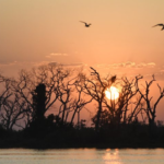 Nesta sexta-feira, sol retorna ao MS mas probabilidade de chuvas não deixa o estado