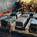 Polícia Civil incinera 649 kg de drogas apreendidas em Dois Irmãos do Buriti