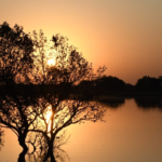 Temperaturas voltam a subir em MS mas chuvas não são descartadas nesta quarta-feira