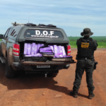 DOF apreende droga que seria levada para Rondônia e prende duas mulheres