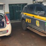 PRF apreende 363 Kg de maconha e recupera veículo em Nova Andradina (MS)