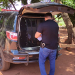 Polícia Civil prende autora de homicídio em Caarapó