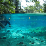 Com investimentos do Governo de MS, Bonito registra recorde de turistas com mais de 313 mil visitantes