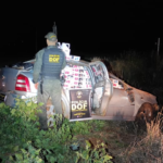 Veículo adulterado é apreendido pelo DOF com cigarros e defensivos agrícolas contrabandeados