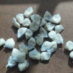 Homem é preso por tráfico de drogas