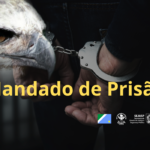 Homens com mandado de prisão a cumprir são presos pelo DOF em Amambai