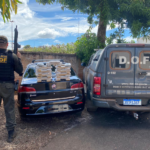 Casal que seguia com maconha para Brasília é preso pelo DOF em Maracaju