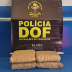 Passageira de ônibus que seguia com maconha para Goiânia é presa pelo DOF em Amambai