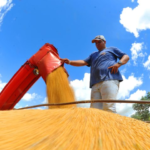 Exportações de MS crescem 17,4% em janeiro com destaque para celulose, soja e minério de ferro