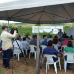 Governo incentiva o desenvolvimento da fruticultura para diversificar a base produtiva do Estado