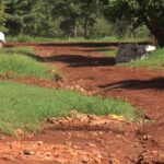 Moradores indignados com abandono da administração de Sidrolândia; reclama de ruas destruídas no bairro Jardim do Sul