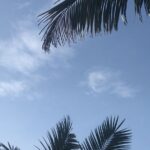 Primeiro dia do outono ainda será de calor extremo em MS