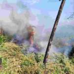 Polícia paraguaia localiza e elimina 12 toneladas de maconha em fazenda na fronteira com MS