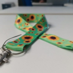 MS lança programa para conscientizar servidores a promover cidadania