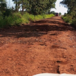 Renato pede pavimentação asfáltica da MS-355 de Terenos a Dois Irmãos do Buriti