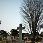 Dourados registra primeira morte por dengue no ano; homem de 33 anos não teria se vacinado