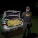 Homem que seguia com mais de 200 quilos de maconha para São Paulo é preso pelo DOF em Dourados