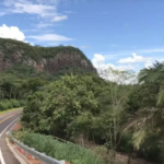Uso de estrada parque no Pantanal para transportar eucalipto racha conselho de área de preservação