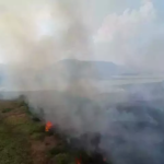 Risco de incêndios faz ministério decretar estado de emergência ambiental em MS