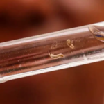 Brasil passa de 4 milhões de casos de dengue; mortes chegam a 1.937